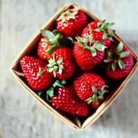 全世界美女帅哥的收容所